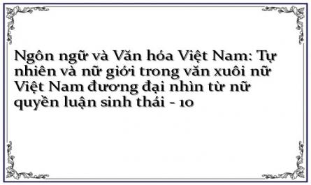 Vấn Đề “Sinh Thái” Trong Văn Học Nữ Việt Nam Sau Năm 1975