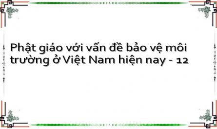 Phật giáo với vấn đề bảo vệ môi trường ở Việt Nam hiện nay - 12