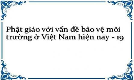 Phật giáo với vấn đề bảo vệ môi trường ở Việt Nam hiện nay - 19