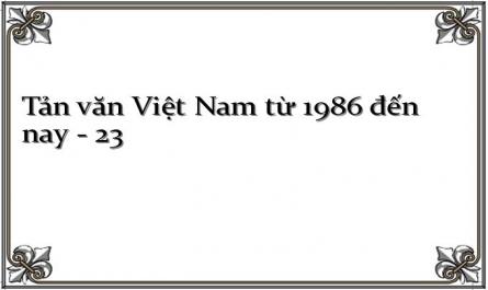 Tản văn Việt Nam từ 1986 đến nay - 23