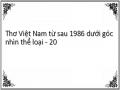 Thơ Việt Nam từ sau 1986 dưới góc nhìn thể loại - 20