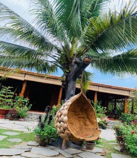 Hình 46 Homestay Ba Lình Nguồn Nguyễn Diễm Phúc năm 2020 Hình 47 Homestay Út Trinh 16