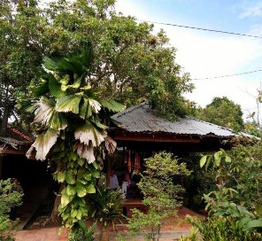 Hình 46 Homestay Ba Lình Nguồn Nguyễn Diễm Phúc năm 2020 Hình 47 Homestay Út Trinh 18