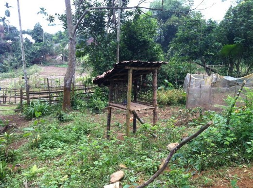 Ảnh 12 Miếu thờ Thần Đất của người Mường tại xóm Tiền Phong xã Nhân 6