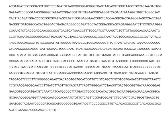 Hình 4 3 Trình tự đoạn gen của rARN 16S của chủng vi khuẩn chọn lọc N1 4 Từ 3