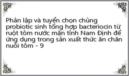 Phân lập và tuyển chọn chủng probiotic sinh tổng hợp bacteriocin từ ruột tôm nước mặn tỉnh Nam Định để ứng dụng trong sản xuất thức ăn chăn nuôi tôm - 9