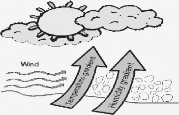 Hình 3 5 Ảnh hưởng của môi trường đến tuyến FSO Tán xạ môi trường không 2