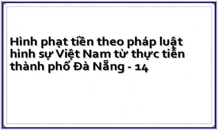Hình phạt tiền theo pháp luật hình sự Việt Nam từ thực tiễn thành phố Đà Nẵng - 14