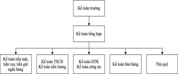 S đồ 2 2 S đồ bộ máy kế toán Chức năng của từng bộ phận như sau Nguồn 2