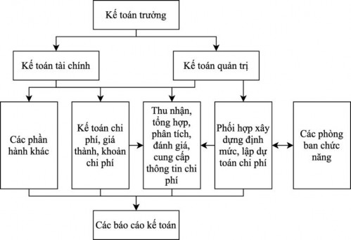 Sơ đồ 3 1 Tổ chức bộ máy kết hợp kế toán quản trị kế toán tài chính 1