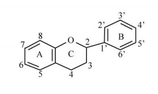 Hình 1 1 Khung cấu tạo phân tử flavonoid Các flavonoid có thể được chia nhỏ 1