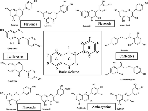 Hình 1 2 Phân loại các flavonoid 1 1 2 Đặc điểm cấu tạo phân tử của nhóm 2