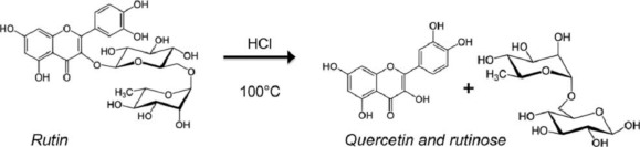 Hình 1 5 phản ứng thủy phân rutin trong môi trường axit Theo nghiên cứu của 1