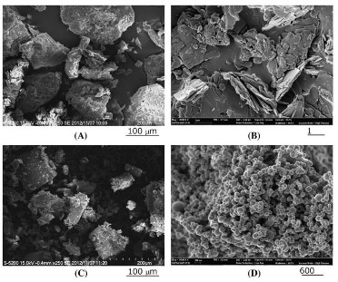 Hình 1 9 Ảnh SEM của các hợp chất A – lycopene B – phức nano 1