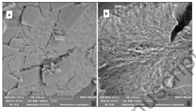 Hình 1 11 Ảnh FE SEM của β cyclodextrin a và hạt nano hydrogel β cyclodextrin b 3