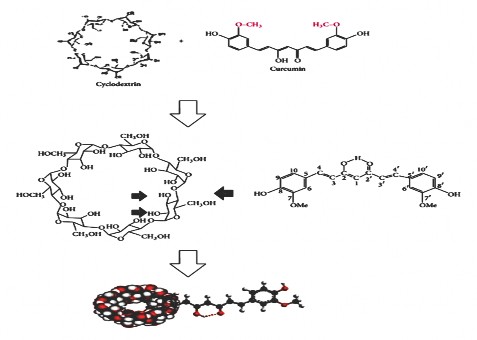 Hình 1 12 Sơ đồ tạo phức chất của curcumin và β cyclodextrin 38 Đáng chú ý 4