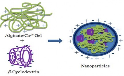 Hình 1 13 Hình ảnh minh họa cơ chế tạo phức nano của β cyclodextrin với alginat 5