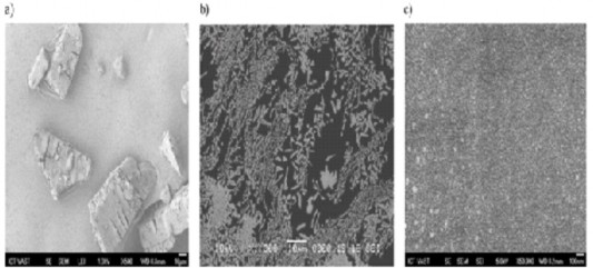 Hình 1 14 Ảnh SEM của β cyclodextrin a alginat Ca 2 b và alginat Ca 2 6