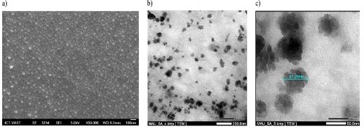Hình 1 15 Ảnh SEM a và TEM với độ phóng đại 30000 b lần và 100000 c lần 7
