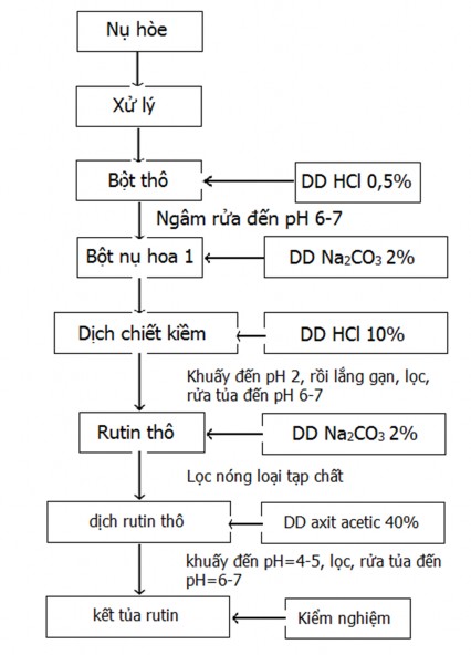Hình 2 1 Sơ đồ chiết xuất tinh chế từ nụ hoa hòe 2 2 1 Phương pháp chiết 1