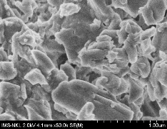 A b c d Hình 3 12 Ảnh FESEM của các hạt RuT a Quer c RuT βCD b và 2