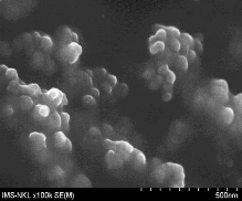 B c d Hình 3 12 Ảnh FESEM của các hạt RuT a Quer c RuT βCD b và 3