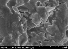 C d Hình 3 12 Ảnh FESEM của các hạt RuT a Quer c RuT βCD b và Quer HPβCD 4