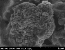 D Hình 3 12 Ảnh FESEM của các hạt RuT a Quer c RuT βCD b và Quer HPβCD 5