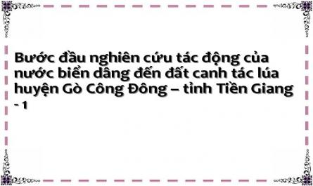 Bước đầu nghiên cứu tác động của nước biển dâng đến đất canh tác lúa huyện Gò Công Đông – tỉnh Tiền Giang - 1