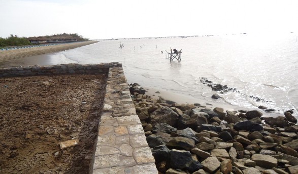 Phụ lục 10 Rừng ngập mặn ven biển huyện Gò Công Đông Phụ lục 11 Hệ 2