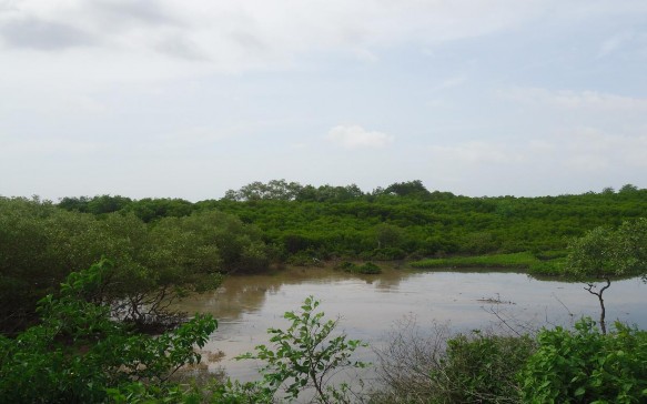 Phụ lục 11 Hệ thống cống ngăn mặn 3