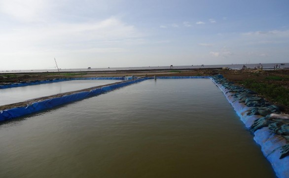 Ngập nước trống chưa có rừng Phụ lục 13 Hệ thống ao nuôi tôm ven biển 2