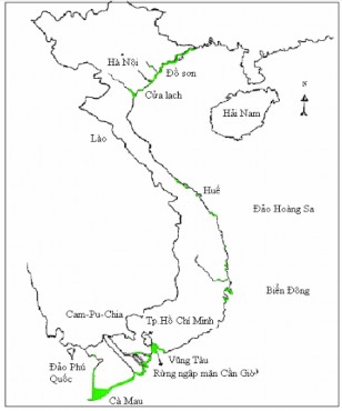 Hình 1 1 Sự phân bố rừng ngập mặn màu xanh ở Việt Nam Nguồn Fao – 1993 1