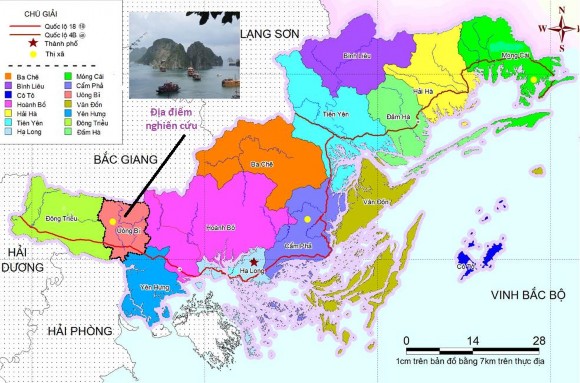 Uông Bí nằm trên đới chứa than của tỉnh Quảng Ninh kéo dài từ Cẩm Phả qua 1