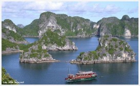 Hình ảnh một số hệ sinh thái tỉnh Quảng Ninh Hệ sinh thái tùng áng Hạ Long 1