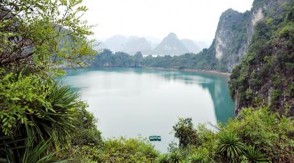 Hệ sinh thái tùng áng Hạ Long Hệ sinh thái vịnh – núi đá vôi Hệ sinh thái 4