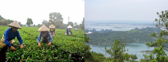 Hệ sinh thái nông nghiệp Hệ sinh thái đồi chè Hải Hà Hệ sinh thái đất 5