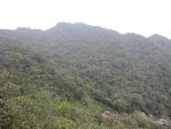 Hệ sinh thái khe – suối Hệ sinh thái rừng bị tác động Hệ sinh thái tre nứa 1