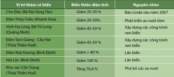 Nguồn Viện Hải Dương học Nha Trang 2008 Nguyên nhân của sự suy thoái cũng 1