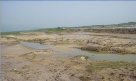 Đánh giá hiện trạng và đề xuất mô hình bảo tồn rừng ngập mặn dựa vào cộng đồng tại xã Lê Lợi, huyện Hoành Bồ, tỉnh Quảng Ninh - 14