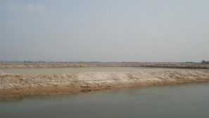 Ảnh 5 Đầm tôm bị bỏ hoang ở Đồng Rui Tiên Yên Ảnh 6 Rừng keo sau khai 3