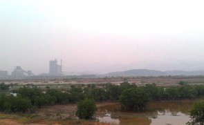 Ảnh 7 Nhà máy xi măng Thăng Long Ảnh 8 Người dân bắt vạng trong khu vực rừng 5