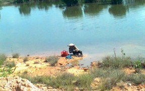 Ảnh 7 Nhà máy xi măng Thăng Long Ảnh 8 Người dân bắt vạng trong khu vực rừng 6