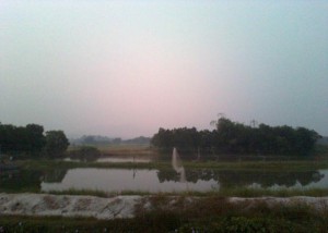 Giăng lưới bẫy chim Thuổng đánh ngán Ngán 14