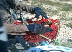 Giăng lưới bẫy chim Thuổng đánh ngán Ngán 15