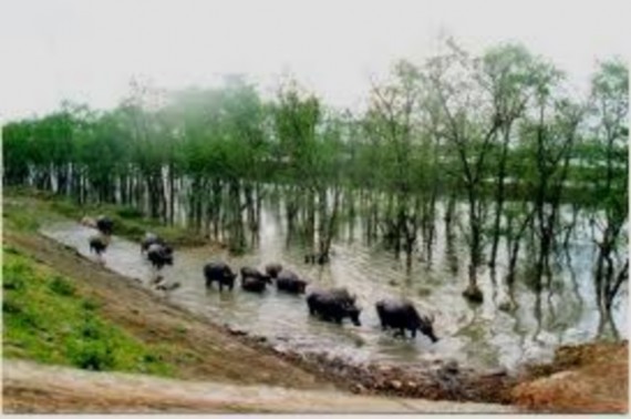 Lục 3 MỘT SỐ HÌNH ẢNH TÁC ĐỘNG CỦA BĐKH TẠI XÃ HƯNG HÒA TP VINH NGHỆ AN 2