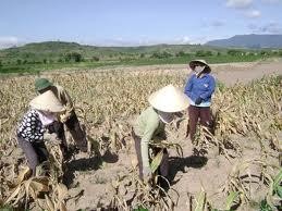 Hình 1 4 BĐKH tác động tới mọi vùng miền trên phạm vi toàn cầu Nguồn Theo 3