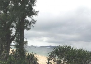 Bãi biển Hồng Vàn Rừng chòi nguyên sinh Các tuyến đường mòn đi bộ trong rừng 33