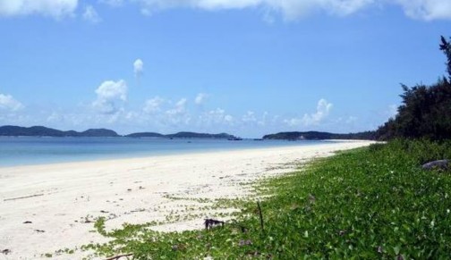 Bãi biển Hồng Vàn Rừng chòi nguyên sinh Các tuyến đường mòn đi bộ trong rừng 35