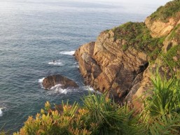 Phương tiện di chuyển chủ yếu trên đảo Mũi Đuôi chuột Bình minh trên đỉnh 17